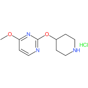 4-Methoxy-2-(piperidin-4-yloxy)pyrimidine hydrochloride