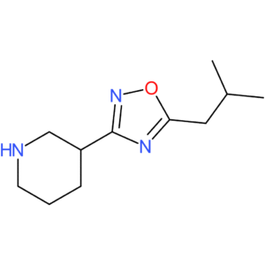 3-[5-(2-Methylpropyl)-1,2,4-oxadiazol-3-yl]piperidine