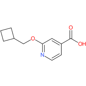 2-(Cyclobutylmethoxy)pyridine-4-carboxylic acid