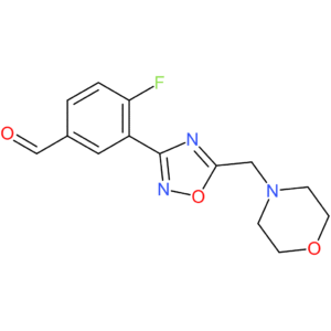4-fluoro-3-(5-(morpholinomethyl)-1,2,4-oxadiazol-3-yl)benzaldehyde