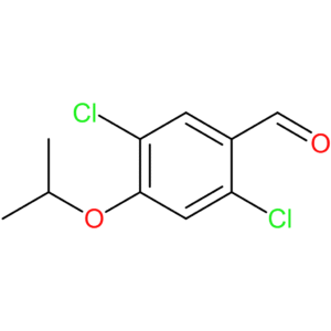2,5-dichloro-4-isopropoxybenzaldehyde
