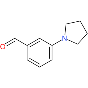 3-(pyrrolidin-1-yl)benzaldehyde