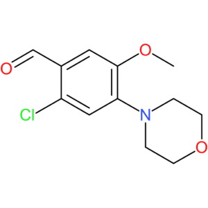 2-chloro-5-methoxy-4-morpholinobenzaldehyde