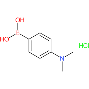 4-(Dimethylamino)phenylboronic acid, HCl