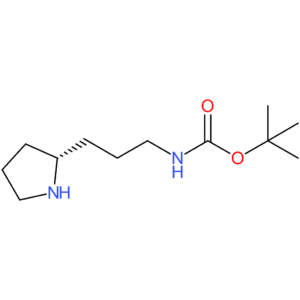 (R)-(3-PYRROLIDIN-2-YL-PROPYL)-CARBAMIC ACID TERT-BUTYL ESTER