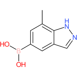 (7-methyl-1H-indazol-5-yl)boronic acid