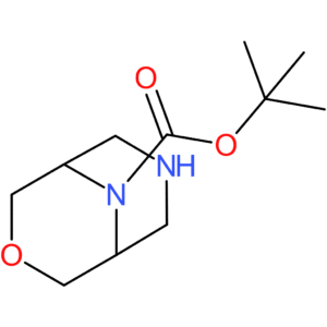 tert-butyl 3-oxa-7,9-diazabicyclo[3.3.1]nonane-9-carboxylate