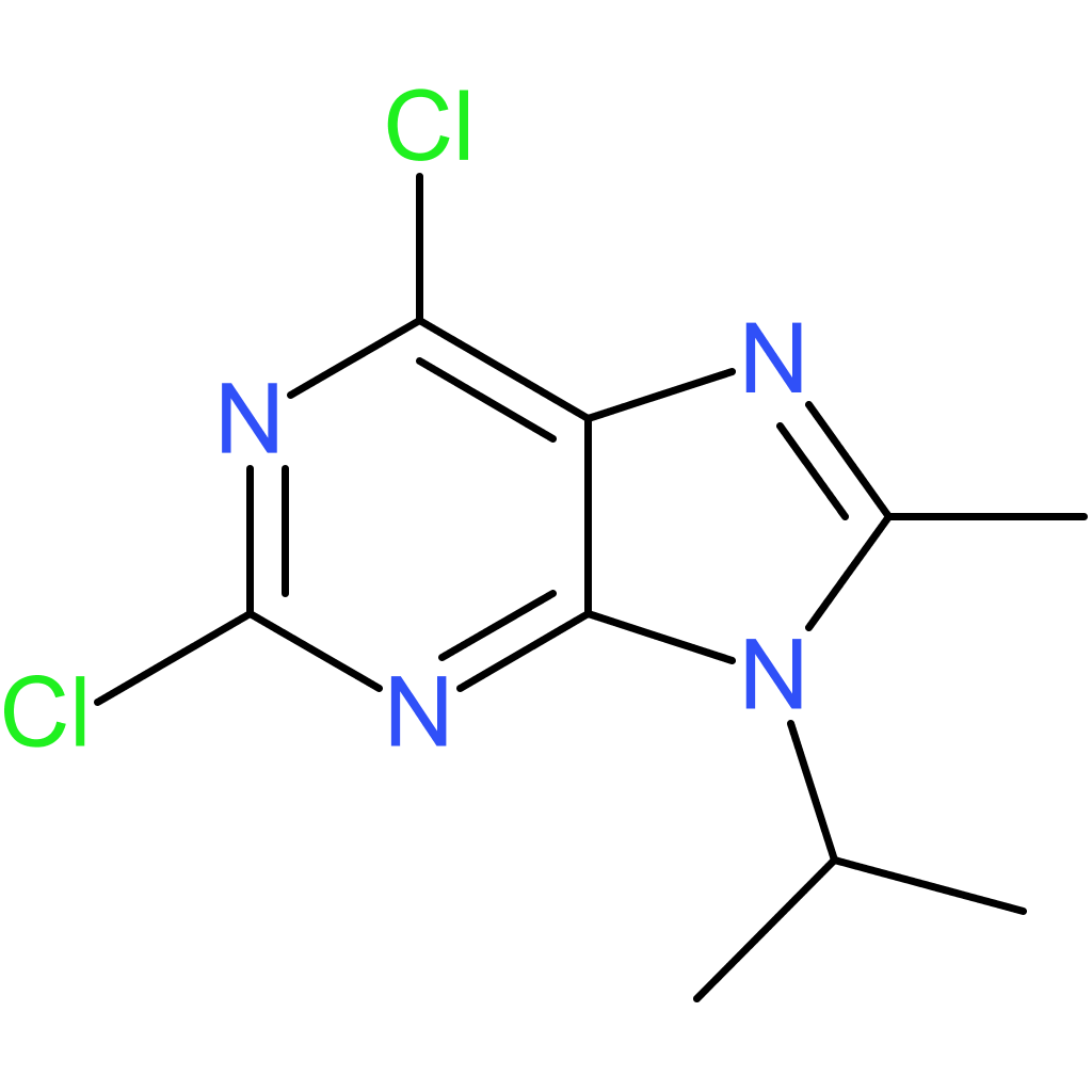 2,6-dichloro-8-methyl-9-(propan-2-yl)-9H-purine