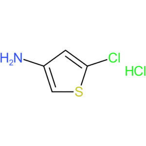 5-chlorothiophen-3-amine hydrochloride