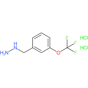 {[3-(trifluoromethoxy)phenyl]methyl}hydrazine dihydrochloride