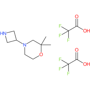 4-(azetidin-3-yl)-2,2-dimethylmorpholine; bis(trifluoroacetic acid)