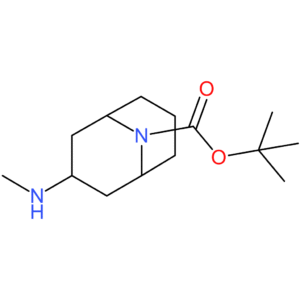 exo-3-methylamino-9-boc-9-azabicyclo[3.3.1]nonane