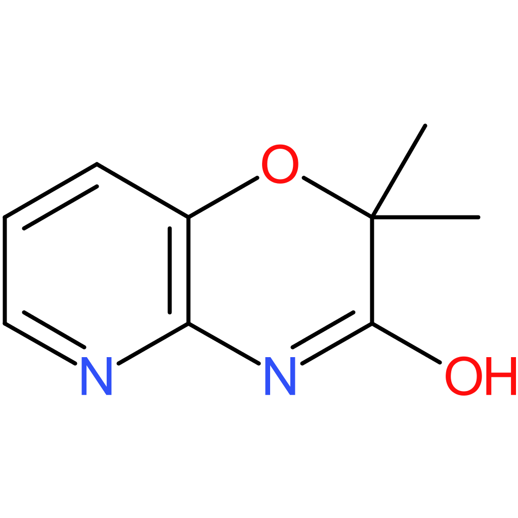 2,2-dimethyl-2H,3H,4H-pyrido[3,2-b][1,4]oxazin-3-one