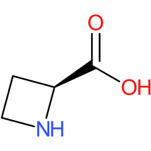 (2S)-azetidine-2-carboxylic acid