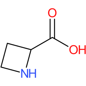 azetidine-2-carboxylic acid