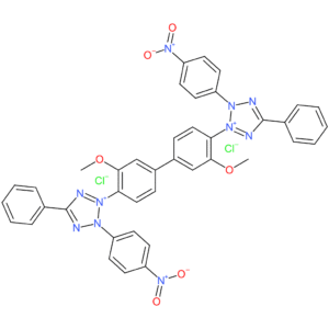 Nitrotetrazolium blue chloride?contain ~7%ethanol?