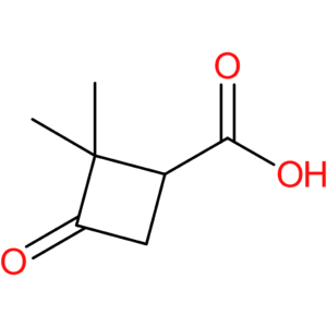 2,2-dimethyl-3-oxocyclobutane-1-carboxylic acid