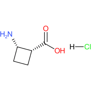 cis-2-aminocyclobutane-1-carboxylic acid hydrochloride