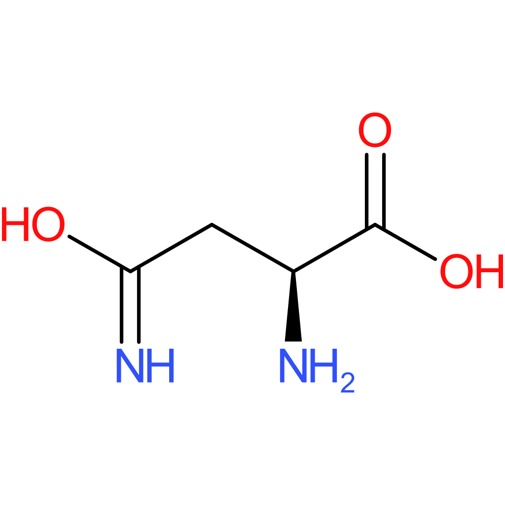 L-Asparagine