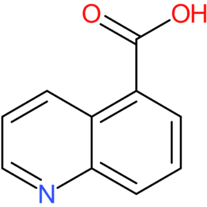 Quinoline-5-carboxylic acid