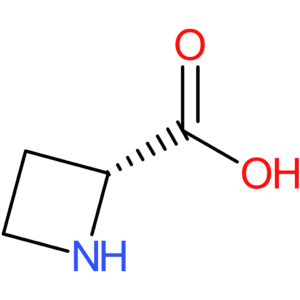 (2R)-azetidine-2-carboxylic acid