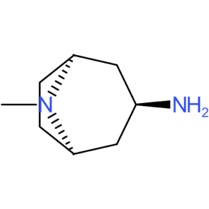 endo-8-methyl-8-azabicyclo[3.2.1]octan-3-amine
