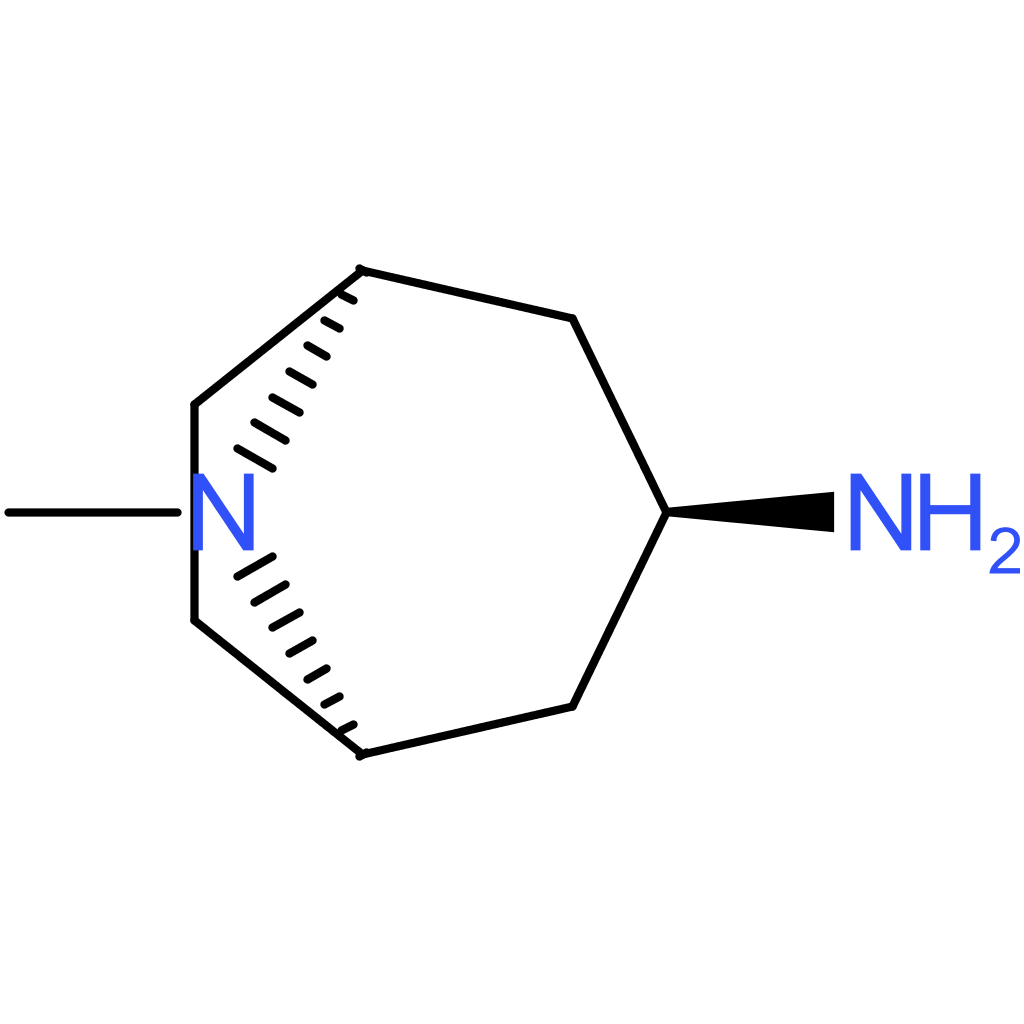 endo-8-methyl-8-azabicyclo[3.2.1]octan-3-amine