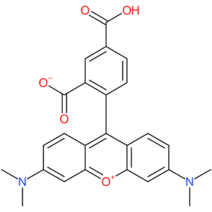 5-Carboxytetramethyl Rhodamine