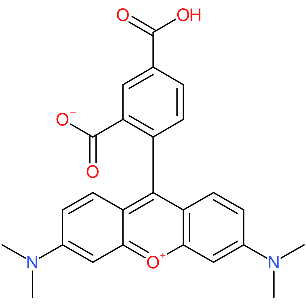 5-Carboxytetramethyl Rhodamine