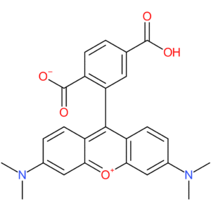 6-Carboxytetramethyl Rhodamine