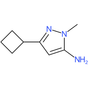 3-cyclobutyl-1-methyl-1H-pyrazol-5-amine
